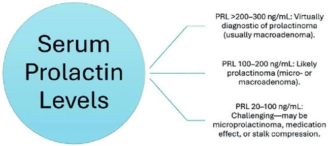 Prolactin levels Ayurvedic Herbal Treatment