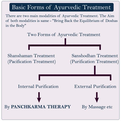 AYURVEDIC TREATMENT TYPES