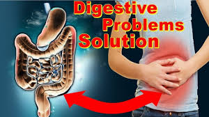 Digestive Problems Ayurvedic Natural Herbal Treatment