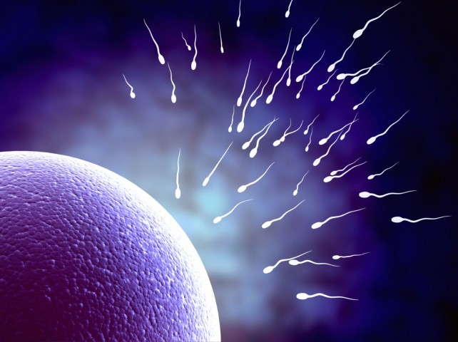 Sperm problems - Oligospermia/ Azoospermia/ Lows sperm motility Treatment