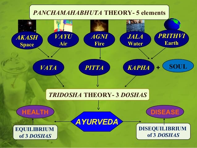 Pitta dosha understanding Understanding Ayurvedic