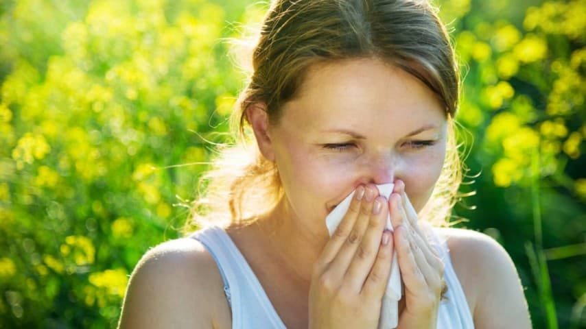 Hay Fever Allergic Rhinitis Ayurvedic Herbal Treatment